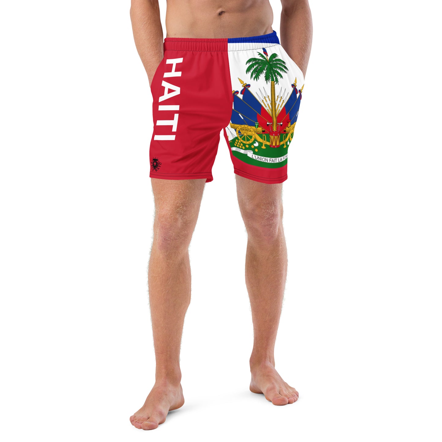 Haiti Men's Swim Trunks