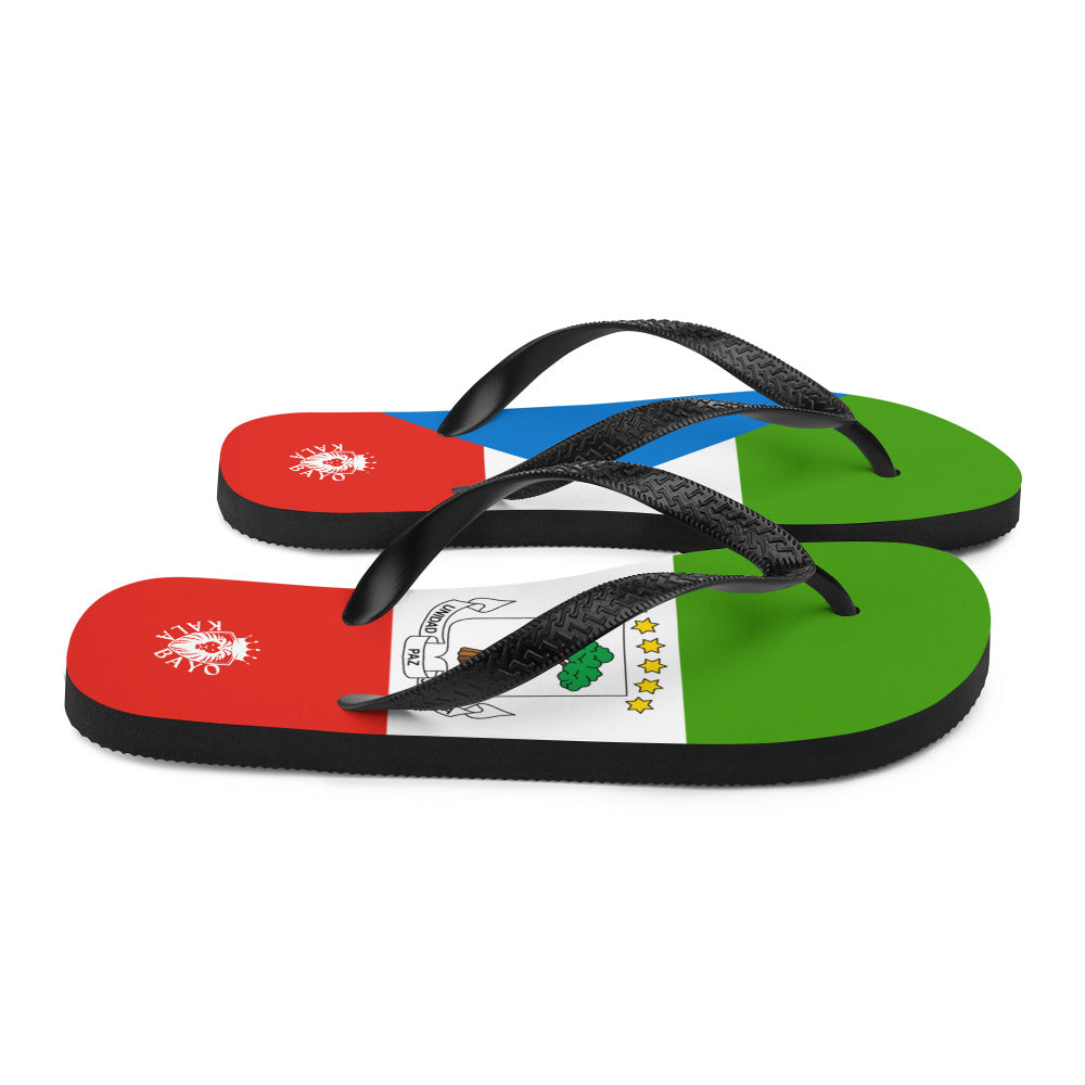 Equatorial Guinea Unisex Flip-Flops