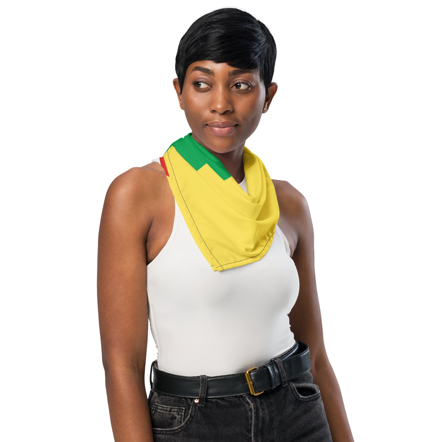 Republic of the Congo Flag Bandana – African Festival, Carnival & Cultural Wear
