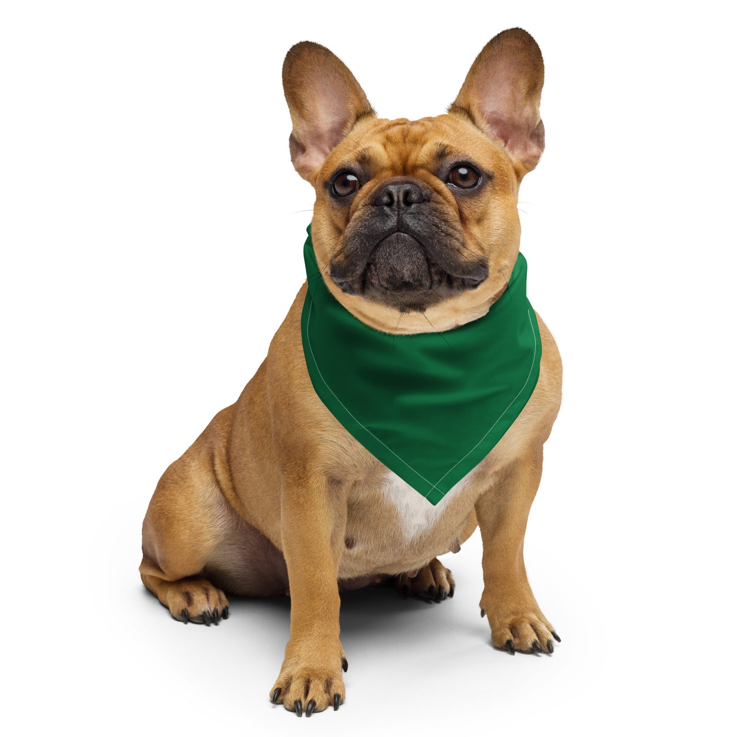 Algeria Bandana