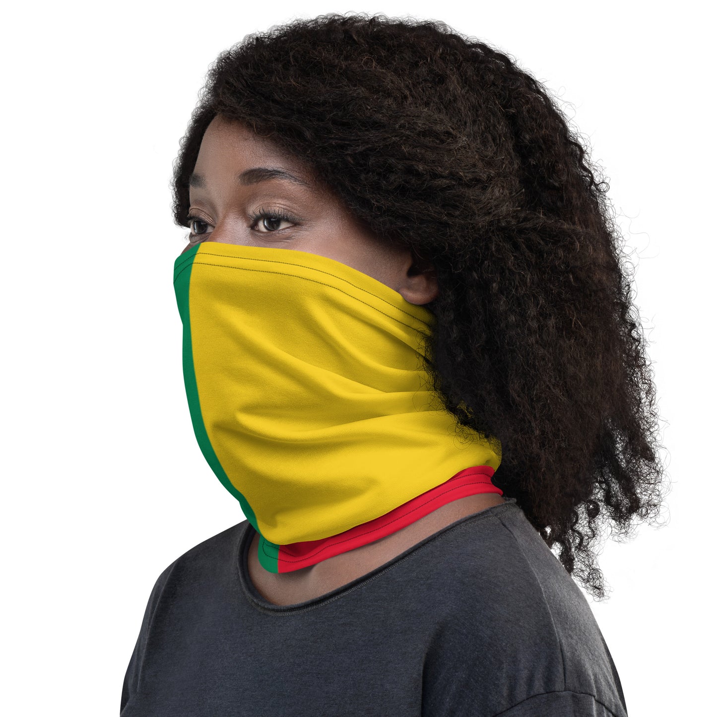 Benin Flag Neck Gaiter – African Multi-Use Face Cover, Head Wrap & Bandana