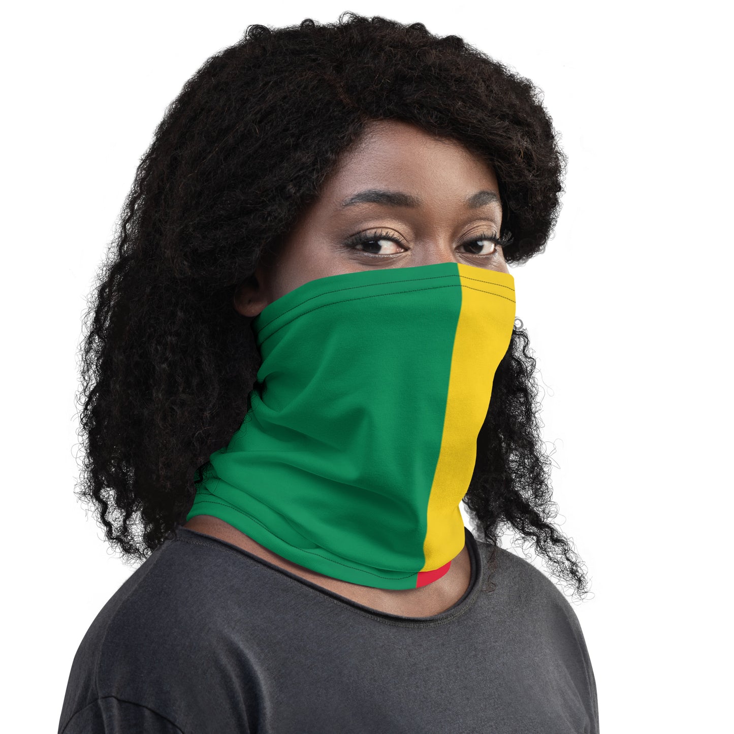 Benin Flag Neck Gaiter – African Multi-Use Face Cover, Head Wrap & Bandana