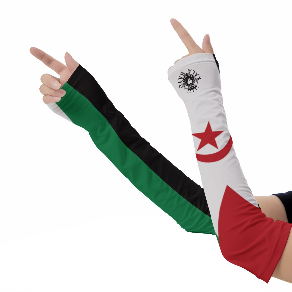 Sahrawi Arab Democratic Republic Arm Sleeves