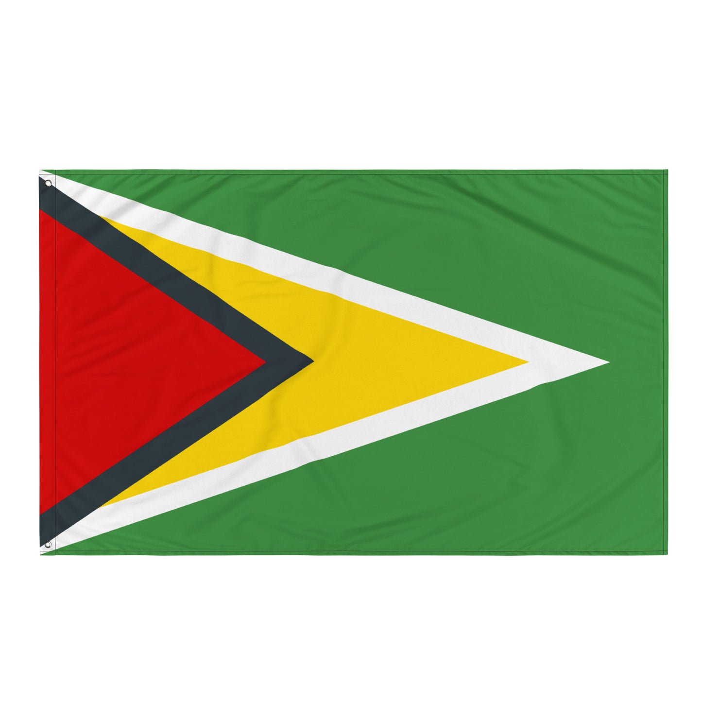 Guyana Flag